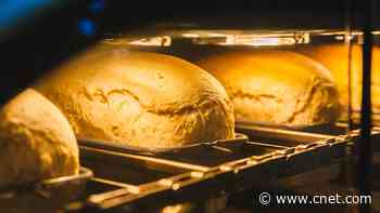 Your discarded sourdough bread starter could help science     - CNET