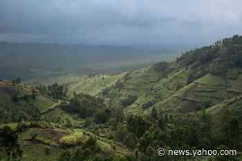 12 rangers among 18 killed in attack in DR Congo's Virunga park