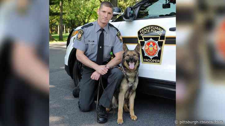 State Police Announce Passing Of K9 Tron