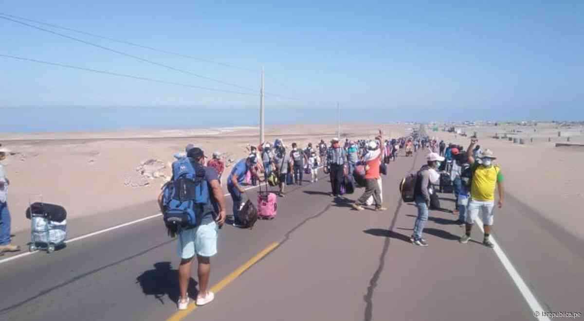 Más de 200 personas empezaron caminata en Ilo para retornar a sus regiones - LaRepública.pe