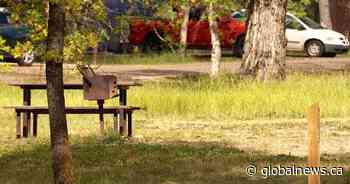 Reservations to Saskatchewan’s provincial park campsites to begin May 4