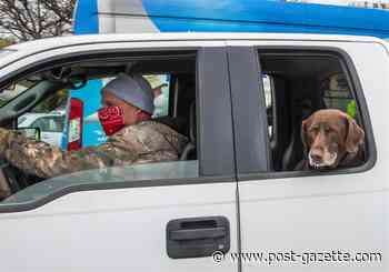 Over 1,000 line up for free dog food