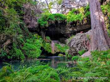 Readers share photos of their favorite Texas trips