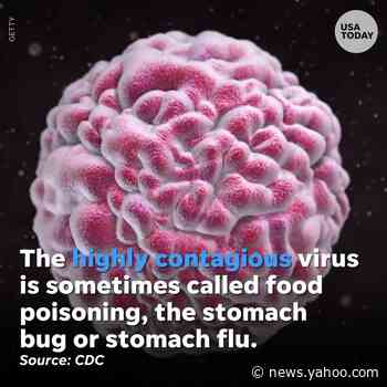 CDC: Frozen raspberries were culprit behind 2019 norovirus outbreak on multiple cruises