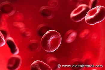 Freeze-dried blood could help preserve donations for years