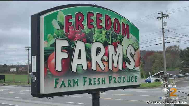 ‘Come Support Your Local Farms’: Customers Are Turning To Family Farms For Fresh Produce During Coronavirus Pandemic