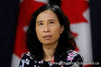 Ottawa, provinces plan roadmap to new normal - TheChronicleHerald.ca
