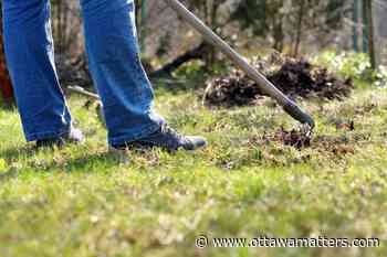Select home maintenance and landscaping start back up in Ottawa amid COVID-19 - OttawaMatters.com