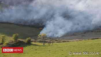 Firefighters tackling 'significant' gorse fire in Newry