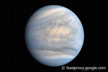 Why Are Venus’ Clouds So Weird?