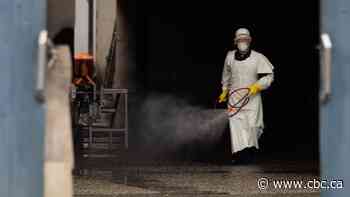 Coronavirus: What's happening in Canada and around the world on April 24