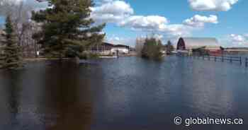 Leduc County man experiences unusual flood