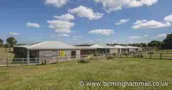 Canine memorial garden at dogs' home in Solihull is approved - Birmingham Live