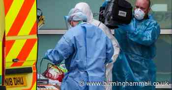 Government told to lift lockdown NOW as economy 'can't wait until vaccine'