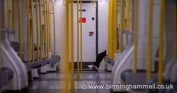 Government could let people 'see up to 10 others' as lockdown eased