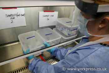 Coronavirus test slots run out for second day as booking website reopens