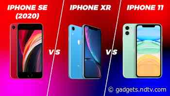 iPhone 11 vs iPhone SE (2020) vs iPhone XR: Which Is the Best &lsquo;Affordable&rsquo; iPhone in India?