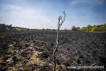 Verwoestende brand in Limburg lijkt nu echt voorbij, brandweer trekt zich terug