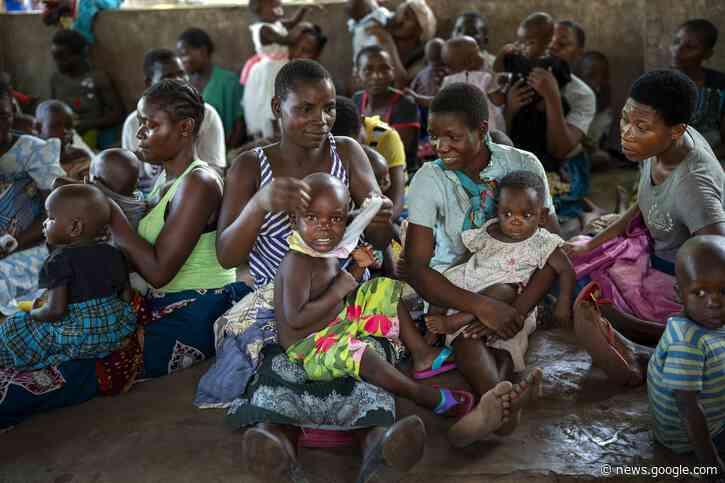 Fight against malaria could be set back 20 years, WHO warns - The Associated Press