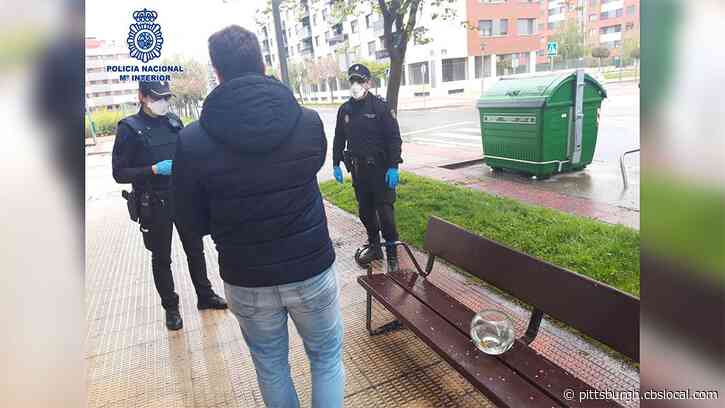 To Get Around Stay-At-Home Orders, Spaniards Have Been Walking Some Unusual ‘Pets’
