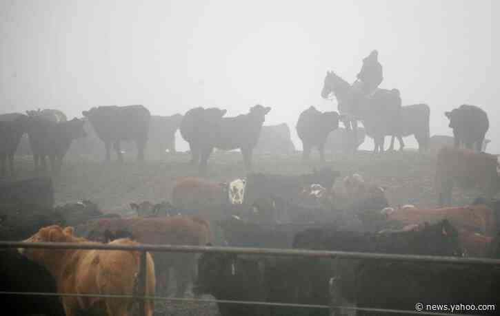 Tyson to shutter beef facility as workers undergo coronavirus testing