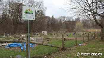 Ontario declares community gardens essential source of fresh food