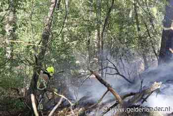 Bosbrand in Hezeland bij Gennep