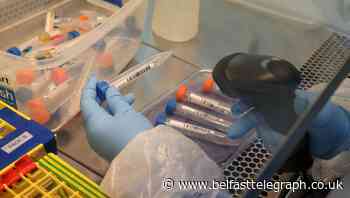 52 further deaths linked to coronavirus in Ireland