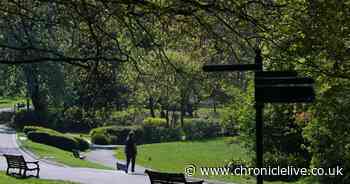See how well Geordies respected lockdown despite the sun