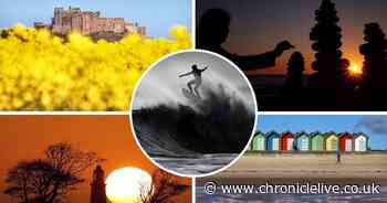 Amazing pictures by Whitley Bay photographer to cheer us up in lockdown