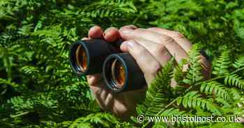 Reports of flashers are rising in Bristol - but most people get away with it