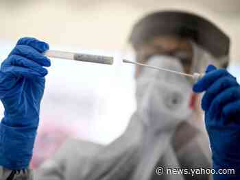 Nearly one-third of Americans — wrongly — believe a coronavirus vaccine exists but treatment is being withheld, according to survey