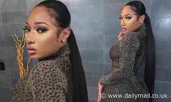 Megan Thee Stallion serves looks in figure-hugging frock and long ponytail during self-isolation