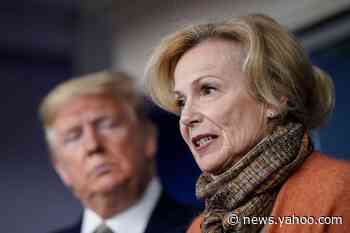 'When He Gets New Information, He Likes To Talk That Through Out Loud,' Dr. Birx Says of Trump's Comments on Ultraviolet Light, Disinfectants as COVID-19 Treatments