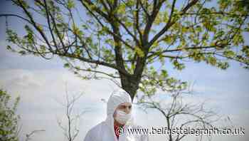 Global death toll from coronavirus pandemic passes 200,000