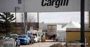 ‘Death is so real’: Immigrant group says meat workers afraid after COVID-19 plant closure