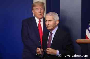 Fauci's absence from recent coronavirus briefings draws notice