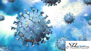 Wie sich das Coronavirus auf die Wirtschaft auswirkt - NZZ am Sonntag