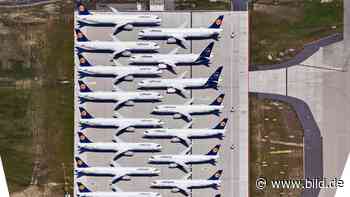 Regierung plant Krisen-Spitzengespräch: Kann Lufthansa wirklich die Luft ausgehen? - BILD