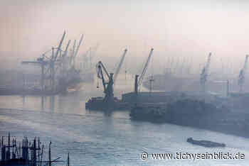 Wirtschaft nach Corona: Die große V-Illusion - Tichys Einblick