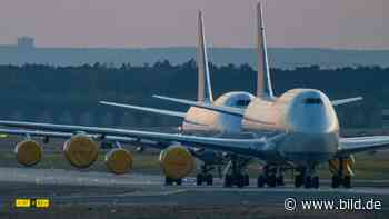Wegen Corona-Krise: Wie die Lufthansa den Crash verhindern will - BILD