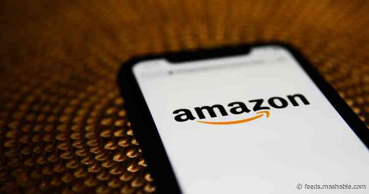 Amazon tech workers called out sick to protest working conditions