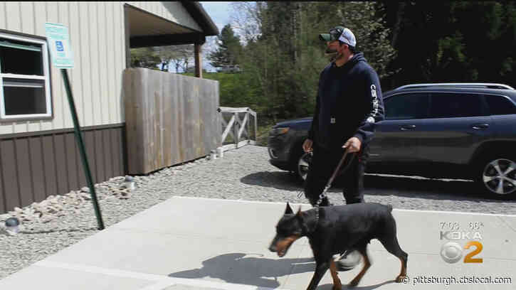 Kennels Taking Extra Precautions Amid Coronavirus Outbreak