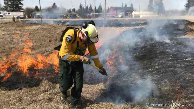 Wildfire risk on the rise in Alberta as warm weather creates dry conditions
