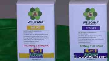 New, stronger medical marijuana product should cut costs, produce better results for some patients - WAFB