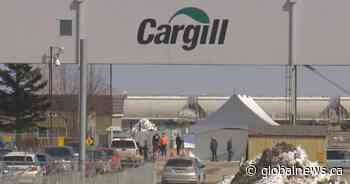 Coronavirus: Union calls for more protection for Alberta’s front-line food workers