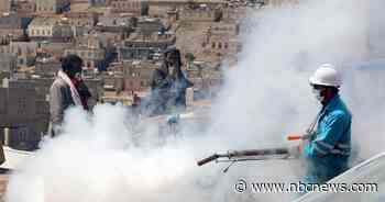 Saudi led coalition announces ceasefire extension in Yemen