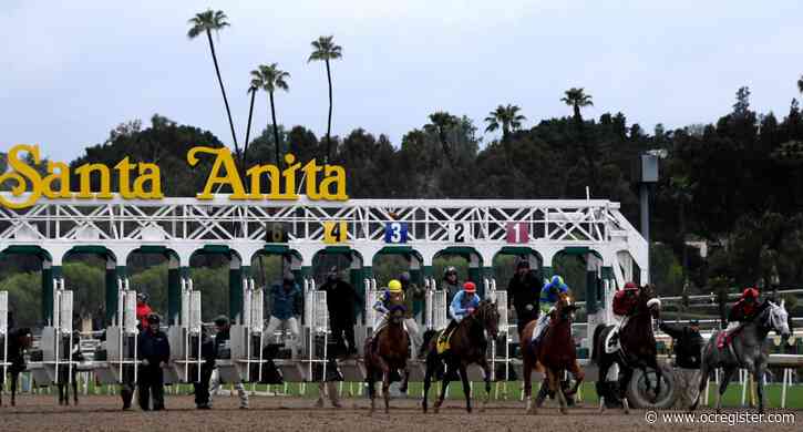 Colt dies at Santa Anita after training incident