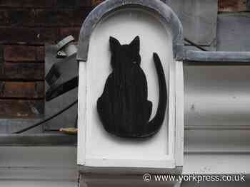 York Cat Trail created online
