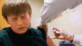The coming flu season could make the pandemic worse. Is Canada ready for it?